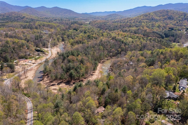 309 Old Farm School Rd, Asheville, NC 28805 - photo 34