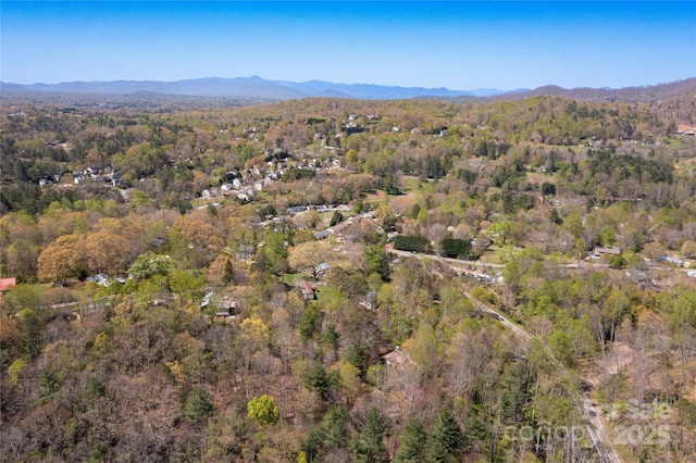 309 Old Farm School Rd, Asheville, NC 28805 - photo 35
