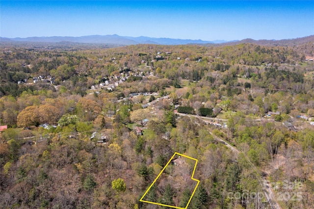 309 Old Farm School Rd, Asheville, NC 28805 - photo 36