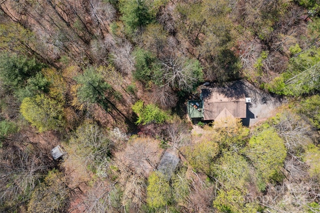 309 Old Farm School Rd, Asheville, NC 28805 - photo 37
