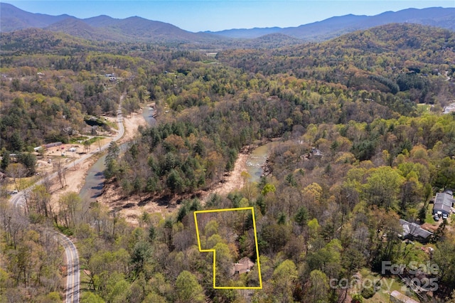 309 Old Farm School Rd, Asheville, NC 28805 - photo 38