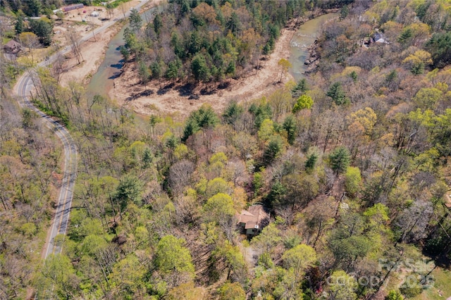 309 Old Farm School Rd, Asheville, NC 28805 - photo 39