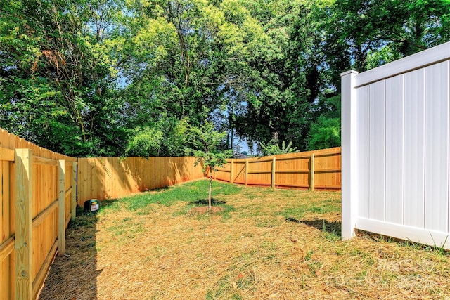 2505 Elon St, Charlotte, NC 28208 - photo 10