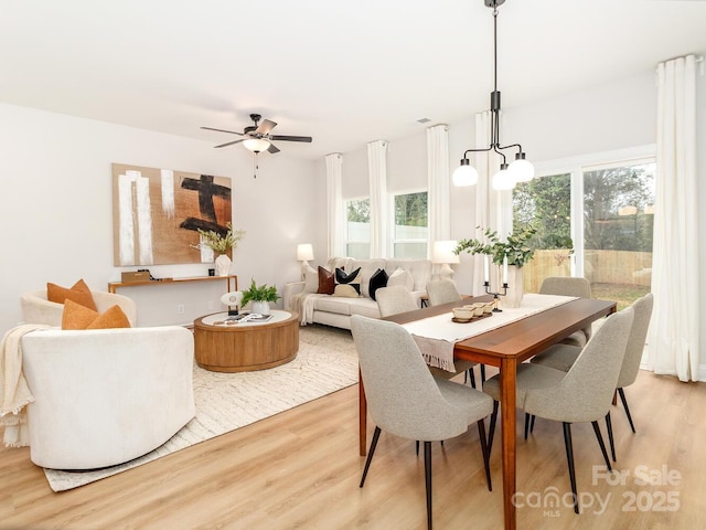 dining area with light wood finished floors and ceiling fan