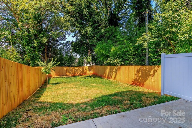 2507 Elon St, Charlotte, NC 28208 - photo 33