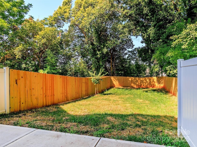 2507 Elon St, Charlotte, NC 28208 - photo 32