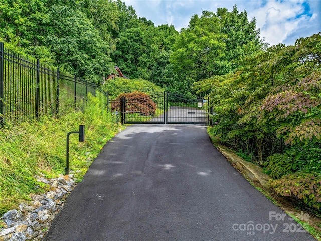 10 Beaverbrook Ct, Asheville, NC 28804 - photo 6