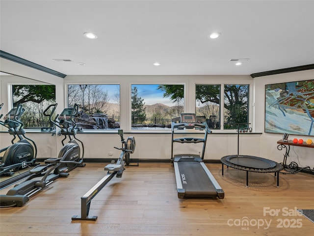 10 Beaverbrook Ct, Asheville, NC 28804 - photo 27