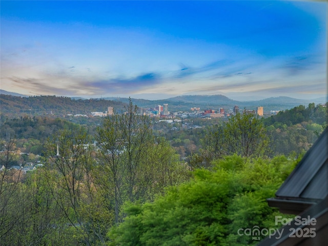 10 Beaverbrook Ct, Asheville, NC 28804 - photo 3
