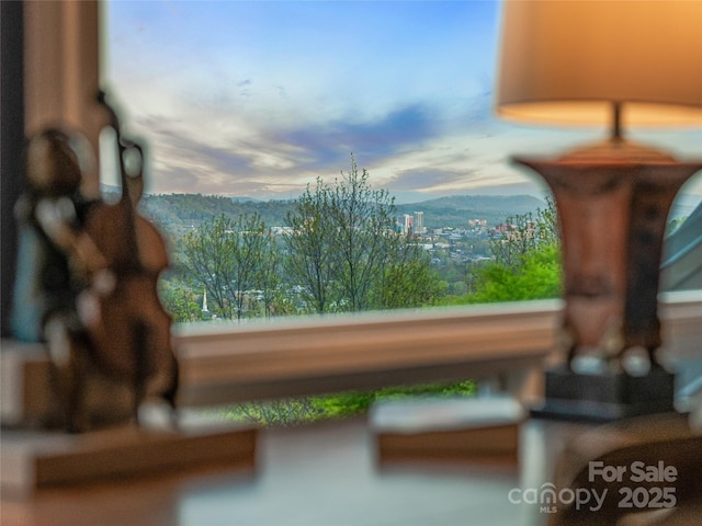 10 Beaverbrook Ct, Asheville, NC 28804 - photo 31