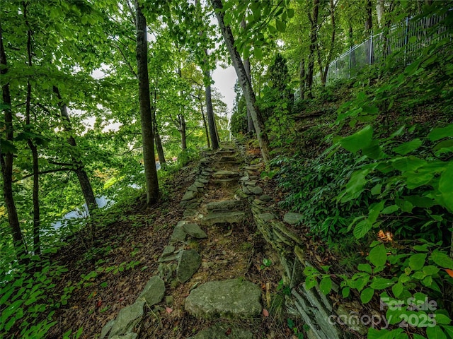 10 Beaverbrook Ct, Asheville, NC 28804 - photo 46
