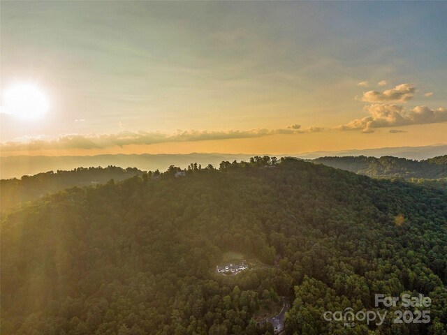 10 Beaverbrook Ct, Asheville, NC 28804 - photo 47
