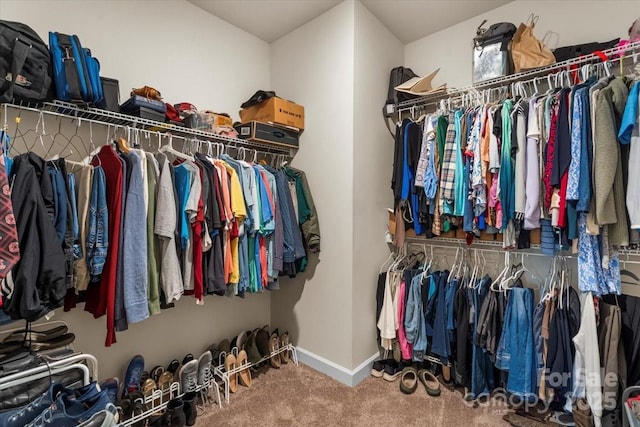 spacious closet featuring carpet