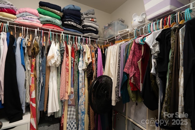 2932 Pirates Pl, Charlotte, NC 28216 - view of spacious closet