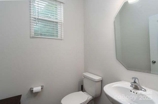 2932 Pirates Pl, Charlotte, NC 28216 - bathroom featuring a sink and toilet