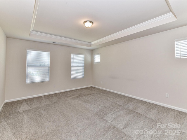 9134 Northfield Crossing Dr, Charlotte, NC 28269 - carpeted spare room featuring a tray ceiling, ornamental molding, and a healthy amount of sunlight