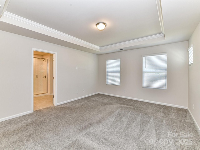 9134 Northfield Crossing Dr, Charlotte, NC 28269 - unfurnished room with crown molding, a raised ceiling, baseboards, and carpet floors