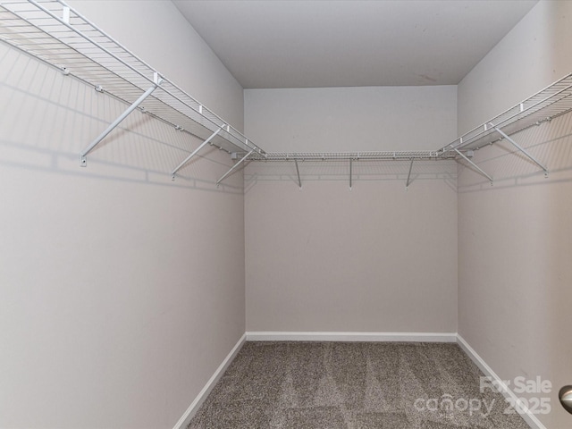 9134 Northfield Crossing Dr, Charlotte, NC 28269 - spacious closet featuring carpet floors