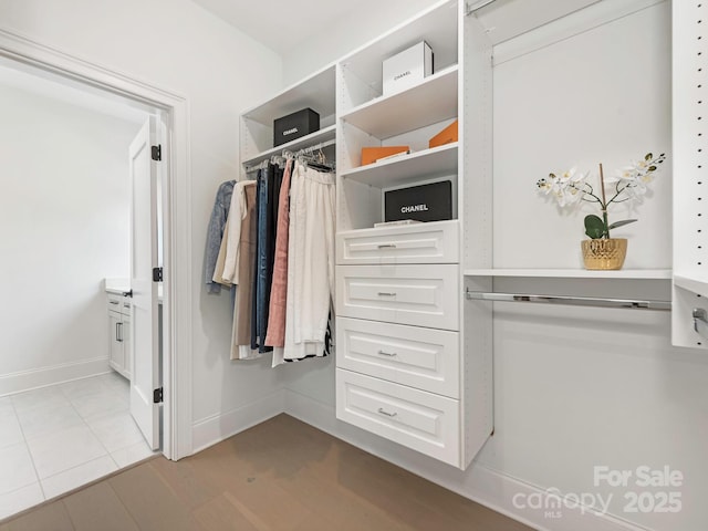 view of spacious closet