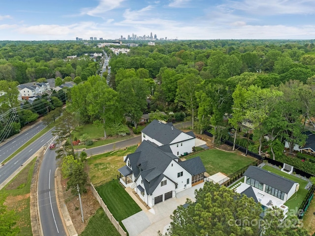 bird's eye view