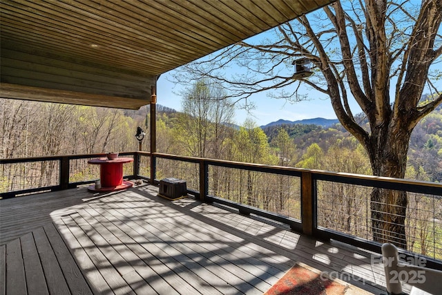 311 Pisgah Mine Rd, Burnsville, NC 28714 - photo 15