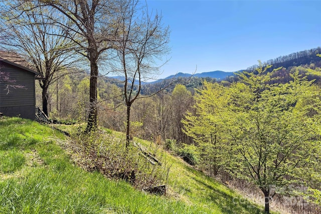 311 Pisgah Mine Rd, Burnsville, NC 28714 - photo 41