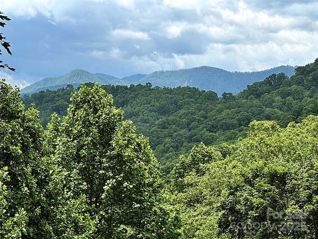 311 Pisgah Mine Rd, Burnsville, NC 28714 - photo 2