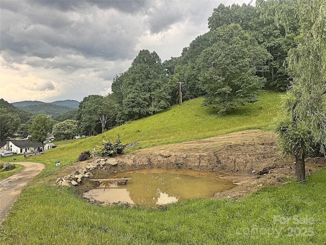 311 Pisgah Mine Rd, Burnsville, NC 28714 - photo 5
