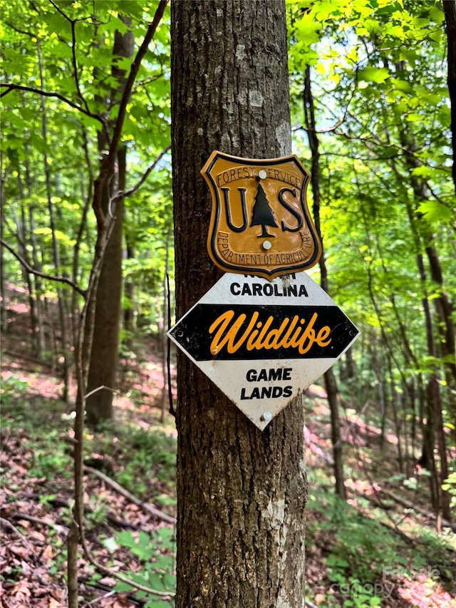 311 Pisgah Mine Rd, Burnsville, NC 28714 - photo 46