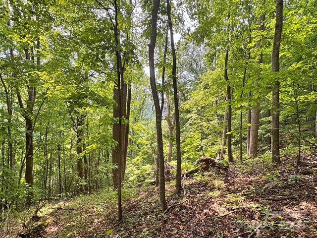 311 Pisgah Mine Rd, Burnsville, NC 28714 - photo 48