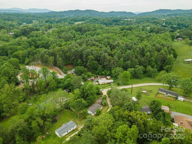 3 Audrey Ln, Asheville, NC 28806 - photo 16