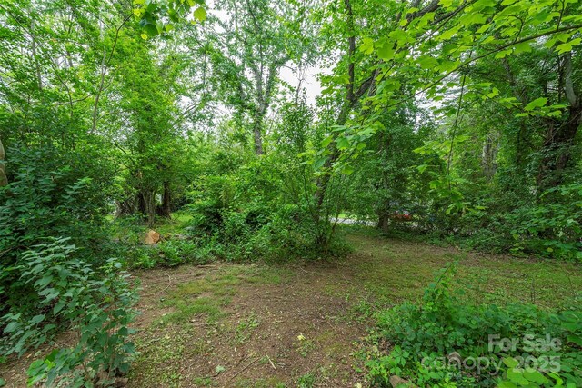 3 Audrey Ln, Asheville, NC 28806 - photo 18
