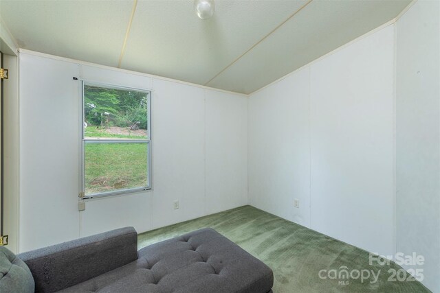 3 Audrey Ln, Asheville, NC 28806 - photo 19