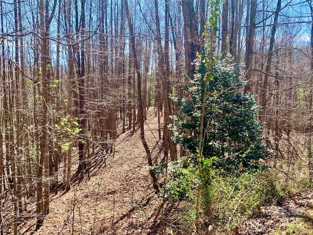 2.78ACRES LOT84 Round Rock Rd Lot 84, Lenoir, NC 28645 - photo 1