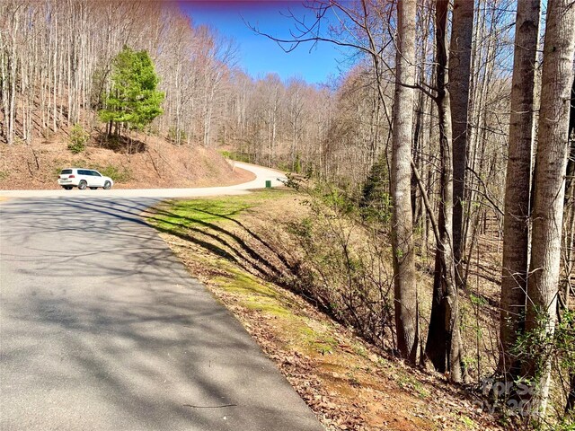 2.78ACRES LOT84 Round Rock Rd Lot 84, Lenoir, NC 28645 - photo 4