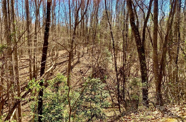 2.78ACRES LOT84 Round Rock Rd Lot 84, Lenoir, NC 28645 - photo 5