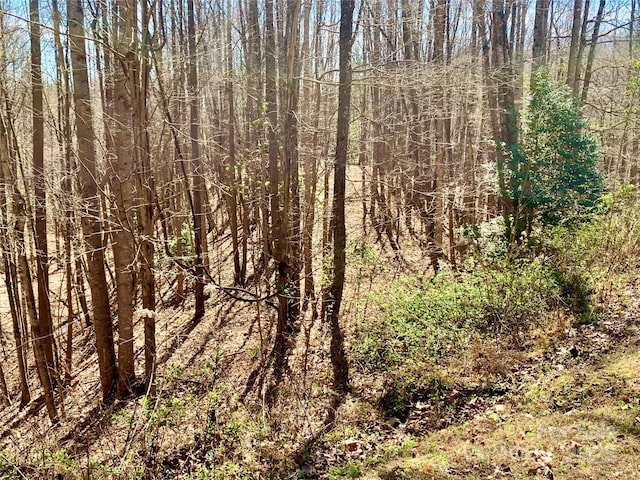 2.78ACRES LOT84 Round Rock Rd Lot 84, Lenoir, NC 28645 - photo 6