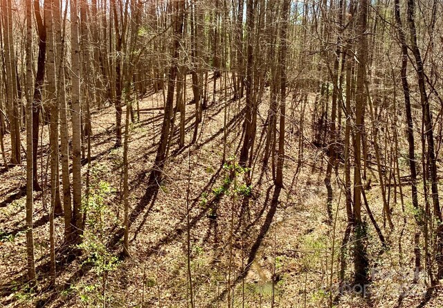 2.78ACRES LOT84 Round Rock Rd Lot 84, Lenoir, NC 28645 - photo 7