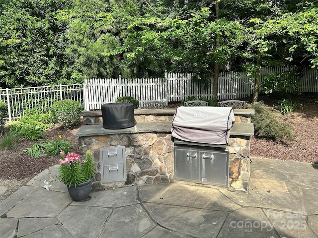 4711 Pearmain Dr, Waxhaw, NC 28173 - view of patio with an outdoor kitchen