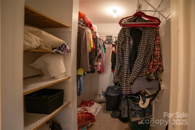 walk in closet with carpet