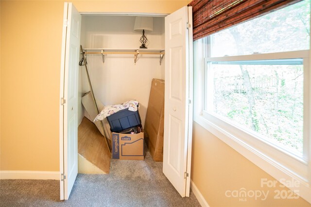 view of closet