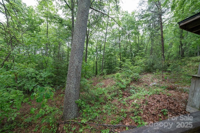 view of nature with a forest view