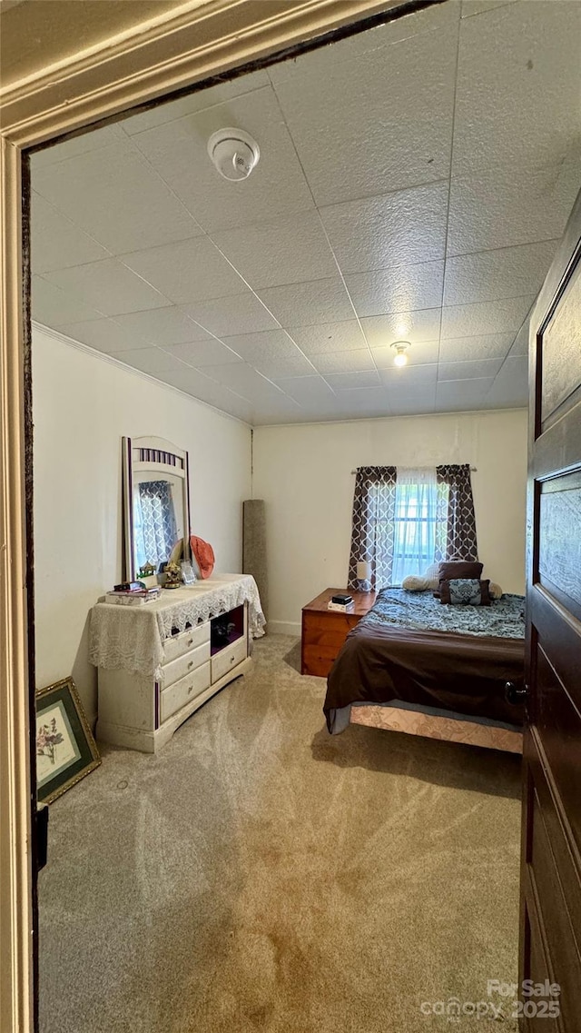 2118 Polkville Rd, Shelby, NC 28150 - carpeted bedroom featuring baseboards and a drop ceiling