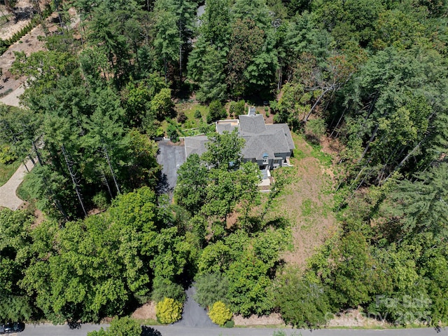 3 Fir Tree Ln, Asheville, NC 28803 - photo 43