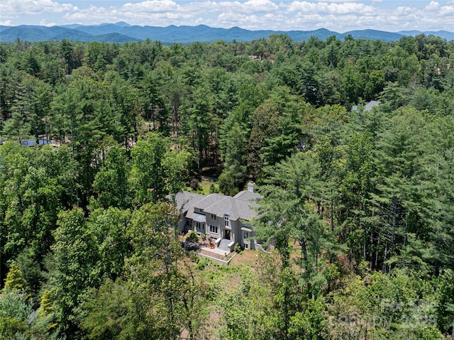 3 Fir Tree Ln, Asheville, NC 28803 - photo 44