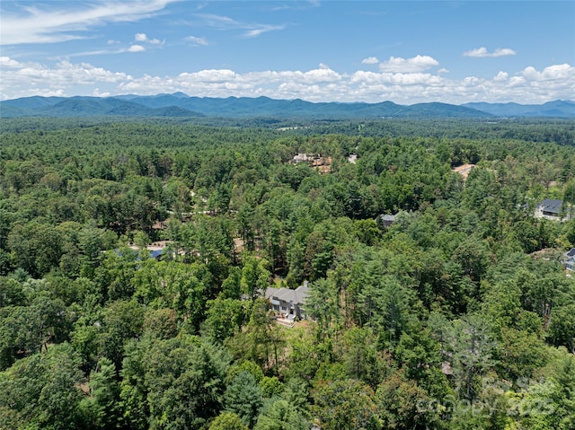 3 Fir Tree Ln, Asheville, NC 28803 - photo 45