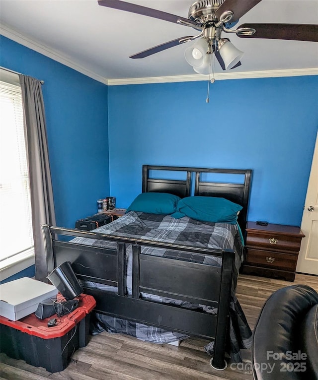 1306 Brantley Rd, Kannapolis, NC 28083 - bedroom featuring wood finished floors, multiple windows, crown molding, and ceiling fan
