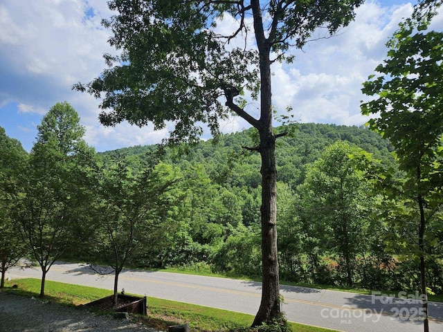 3934 Cabin Creek Rd, Zirconia, NC 28790 - photo 4