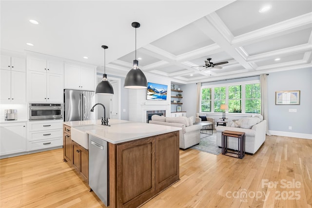 108 Castleview Ln, Mooresville, NC 28115 - kitchen featuring a fireplace, light wood finished floors, stainless steel appliances, and a sink