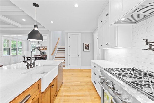 108 Castleview Ln, Mooresville, NC 28115 - kitchen with a sink, tasteful backsplash, custom exhaust hood, light wood-style floors, and appliances with stainless steel finishes